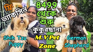 Biggest Pet Kennel in West Bengal । Home Breed Puppies Sell । Low Price Puppy Sell in Kolkata [upl. by Trah]