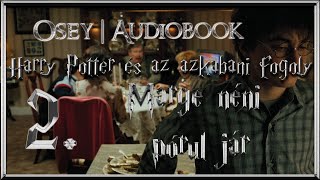 Harry Potter és az azkabani fogoly hangoskönyv remake  2 fejezet [upl. by Acirema517]