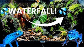 I Built A Poison Dart Frog Habitat With Water Fall [upl. by Lednyk212]