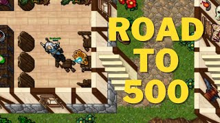 Tibia  Broteeth Road to 500 Episode 1 Werelions Double Exp [upl. by Sokem]