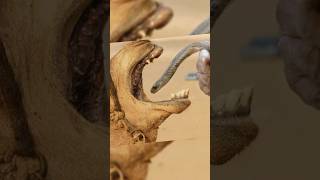 Camel Eats Snake But Why [upl. by Riordan]