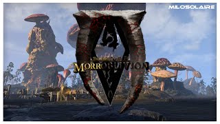 Morroblivion  Full House Telvanni Quest Line [upl. by Antin]