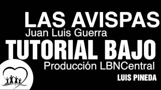 Las Avispas  Bass  Bajo Tutorial  Juan Luis Guerra [upl. by Leuqcar555]