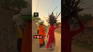 गांव के सुबह का वीडियो 🌴❤️🌳🏝️ beutiful video 🏝️🌳❤️🌴😍💞🦚🐤 [upl. by Bartolomeo383]