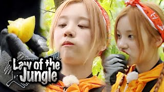 Yuqis Star Fruits Mukbang Law of the Jungle Ep 380 [upl. by Townie]