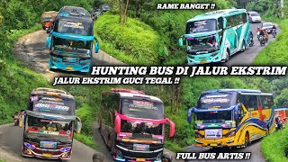 FULL TELOLET BASURI  HUNTING BUS DI JALUR EKSTRIM GUCI TEGAL  FULL BUS ARTIS [upl. by Niajneb896]