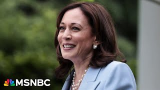 ‘She wants a bulldog’ VP Kamala Harris set to choose running mate from rising Democrat stars [upl. by Ateinotna973]