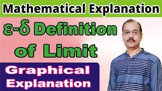 Epsilon Delta Definition of Limit [upl. by Calvano858]