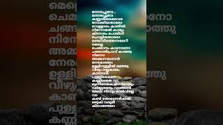 Mandharappoove song lyrics mandharappoove lyrics lyricsvideo lyricvideo [upl. by Yrekcaz188]