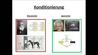 Klassische und operante Konditionierung erklärt [upl. by Biondo759]