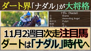 【一口馬主】次走注目馬！ダート界は新種牡馬「ナダル」産駒が暴れまくる予感☆ [upl. by Mcmillan920]