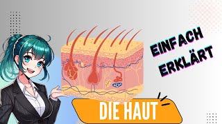 Haut  Anatomie Aufbau und Aufgaben Epidermis Dermis Subcutis [upl. by Brace]