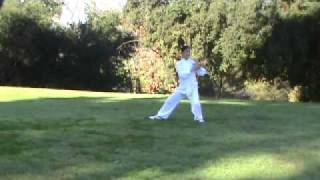 Yang Style Tai Chi 88 Form [upl. by Sirromed]