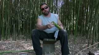 Bamboo Bushcraft Water Filter For SODIS Treatment [upl. by Alemrac106]