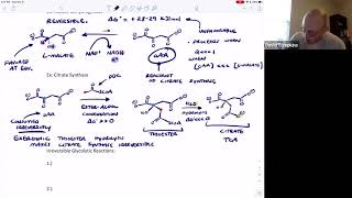 Metabolic Themes I Reversible vs Irreversible Reactions [upl. by Ardekahs]