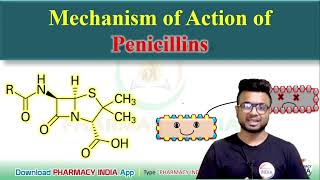 MECHANISM OF ACTION OF PENICILLINS  PHARMACOLOGY [upl. by Haley]