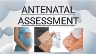 ANTENATAL ASSESSMENT  FULL DETAILS [upl. by Elimac]