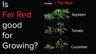 Is Far red light good for plants [upl. by Brianna]