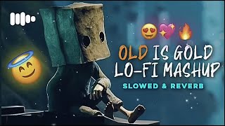 90s old is gold lofi sings slowed amp reverb  new lofi song hindi lofi song [upl. by Wylie]