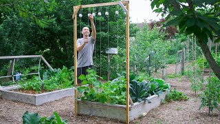 How to Build a Cucumber Trellis Using Only ONE PIECE of WOOD CHEAP and EASY Backyard Gardening [upl. by Chane]