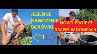 Czym Nawozić Borówki na Jesień l Rusza Nowy Projekt Draper w Donicach [upl. by Adnalay285]