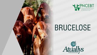 PNCEBT Programa Nacional de Controle e Erradicação da Brucelose e Tuberculose Animal [upl. by Crispin223]