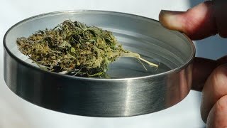 Bundesrat bereitet Weg für CannabisFreigabe [upl. by Efioa607]