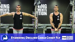 Standing Decline Cable Chest Fly [upl. by Eeresid]