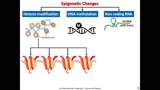 EPIGENETICS IDENTICAL TWINS ARE NOT REALLY IDENTICAL [upl. by Yajnas709]