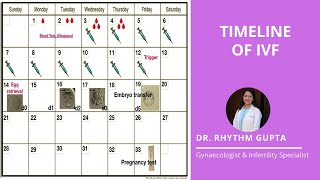 Timeline of IVF Explained Correctly  Dr Rhythm Gupta  Fertility Specialist [upl. by Aitat379]