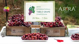 ARRA Varieties amp TopFruit  the 10th International Table Grapes Symposium South Africa [upl. by Elyc]