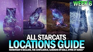 All Starcat Locations Guide  Week 6 Harbingers Seclude Confluence Gardens of Esila Destiny 2 [upl. by Nnainot]