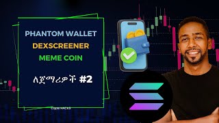 Meme coin 2 Phantom Connect Cryptocurrency in Amharic for Beginners  Dexscreener [upl. by Lladnarc]