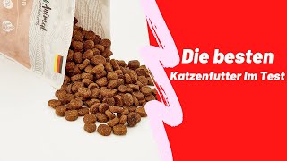 Beste Katzenfutter Im Test 2023 [upl. by Eibo]