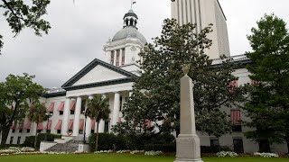 Over 30 new Florida laws take effect on Oct 1 Heres a roundup [upl. by Uttasta827]