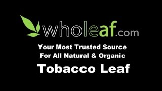 Tobacco Leaf  All Natural amp Organic Tobacco Leaf  Wholeafcom [upl. by Rebel954]