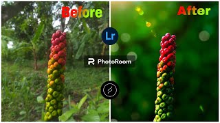 Macro photography editing mobilelightroom lensdistortions photoroom [upl. by Agnola]