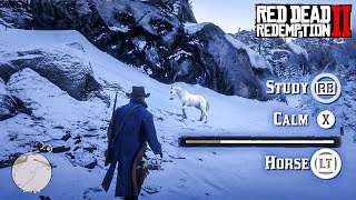 RDR2  How to Tame RARE WHITE ARABIAN HORSE [upl. by Aierdna]