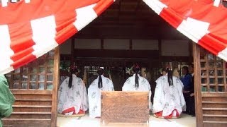 Autumn Shinto Ceremony in Japan [upl. by Asia948]