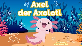 Axel der Axolotl Song 🌊🪸 Tierlied für Kinder 🎶 [upl. by Poler511]