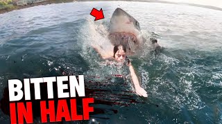 These 3 Swimmers Were BITTEN IN HALF By Sharks [upl. by Bernard619]