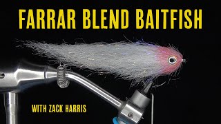 Steve Farrar Blend Baitfish   FLY TYING TUTORIAL   With Zack Harris [upl. by Dieball]