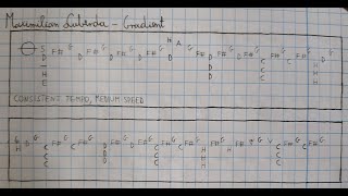 Maximilian Luberda  Gradient [upl. by Tteltrab430]