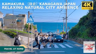 4k hdr japan travel  Walk in Kamakura （鎌倉）Kanagawa Japan  Relaxing Natural City ambience [upl. by Nitsirk]