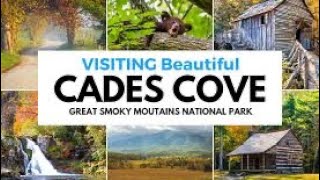 Cades Cove Drive through The Great Smoky Mountains National Park Tennessee 2024 [upl. by Metts]