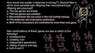 Testcross and gene linkage [upl. by Demaggio]