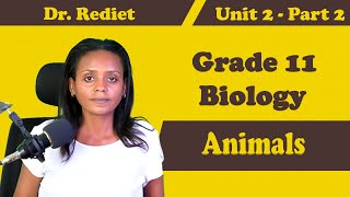 Grade 11 Biology Unit 2 Animals Part 2  Dr Rediet [upl. by Reyam]