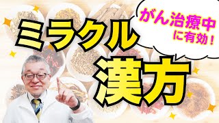 【徹底解説】がん治療中の症状にどんな漢方薬が効くのか詳しく解説します（大建中湯半夏瀉心湯補中益気湯十全大補湯人参養栄湯六君子湯牛車腎気丸八味地黄丸） [upl. by Enneicul]