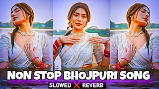 Non stop bhojpuri slowed reverb song  non stop bhojpuri songBhojpuri song mashup slowed and reverb [upl. by Abroms]