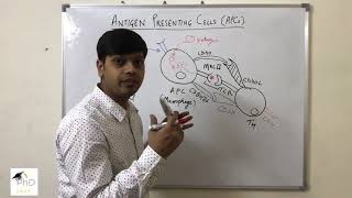 Antigen Presenting Cells by Dr Vipin Tyagi [upl. by Kuehnel112]